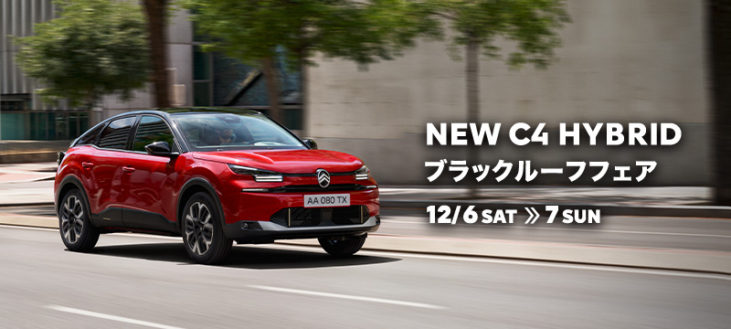 C4バイトーンルーフ