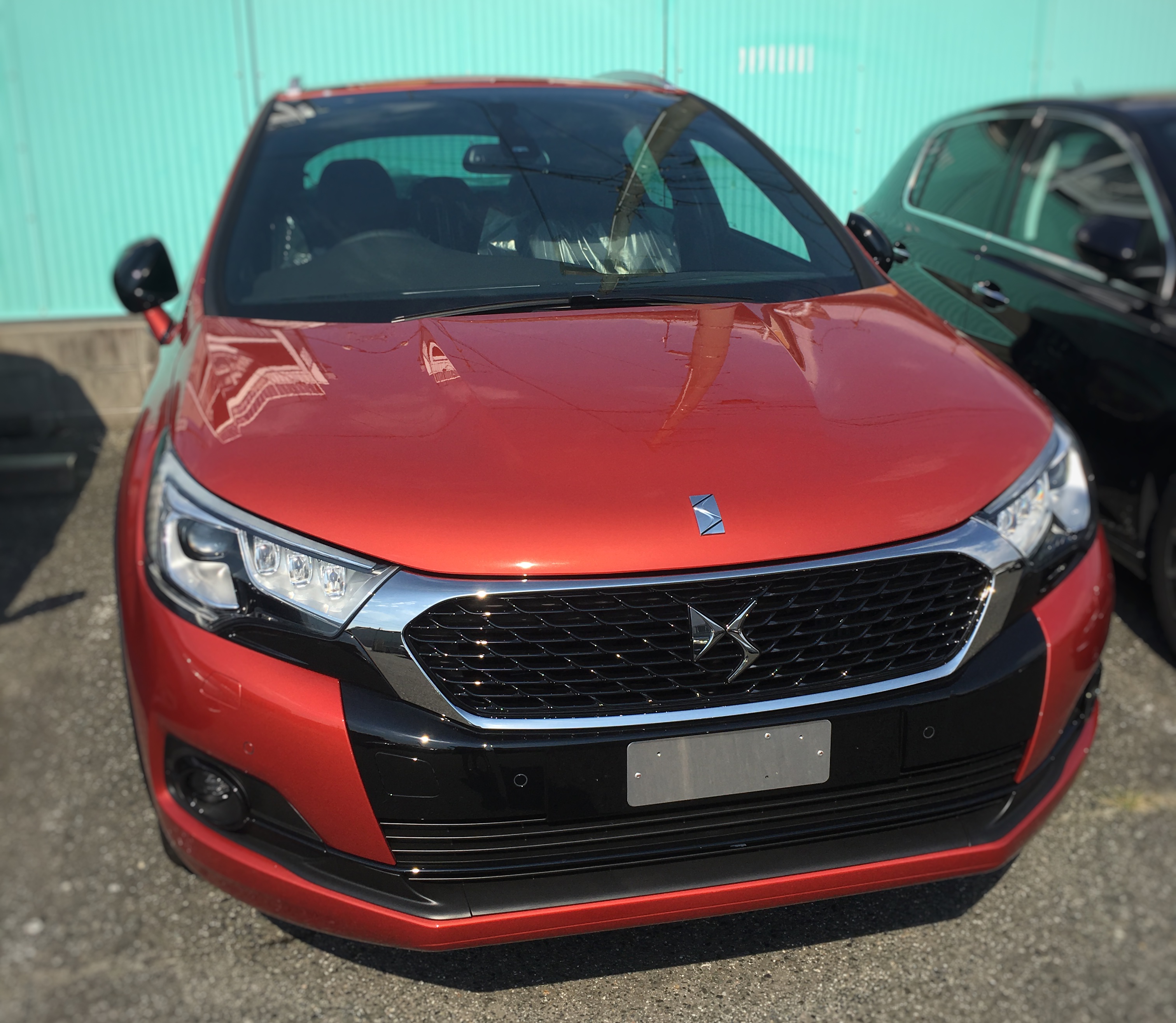 DS4のオランジュトルマリンがやってきました！！