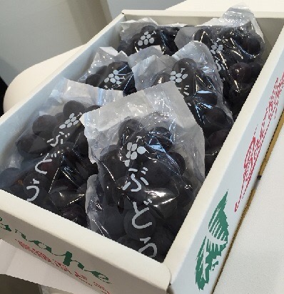 巨峰頂きました！！