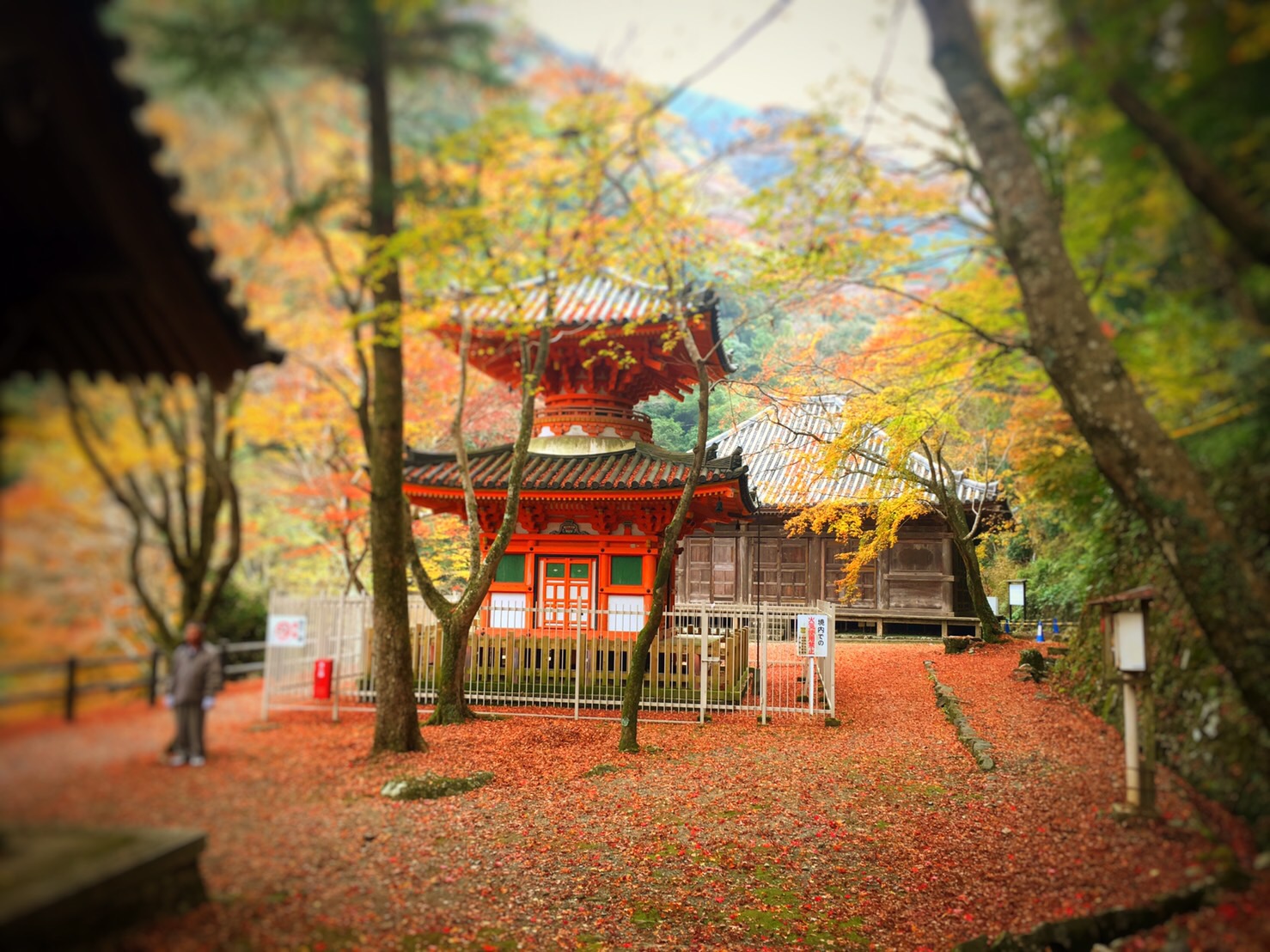 12月になりました♪