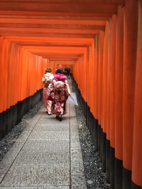 京都めぐり☆