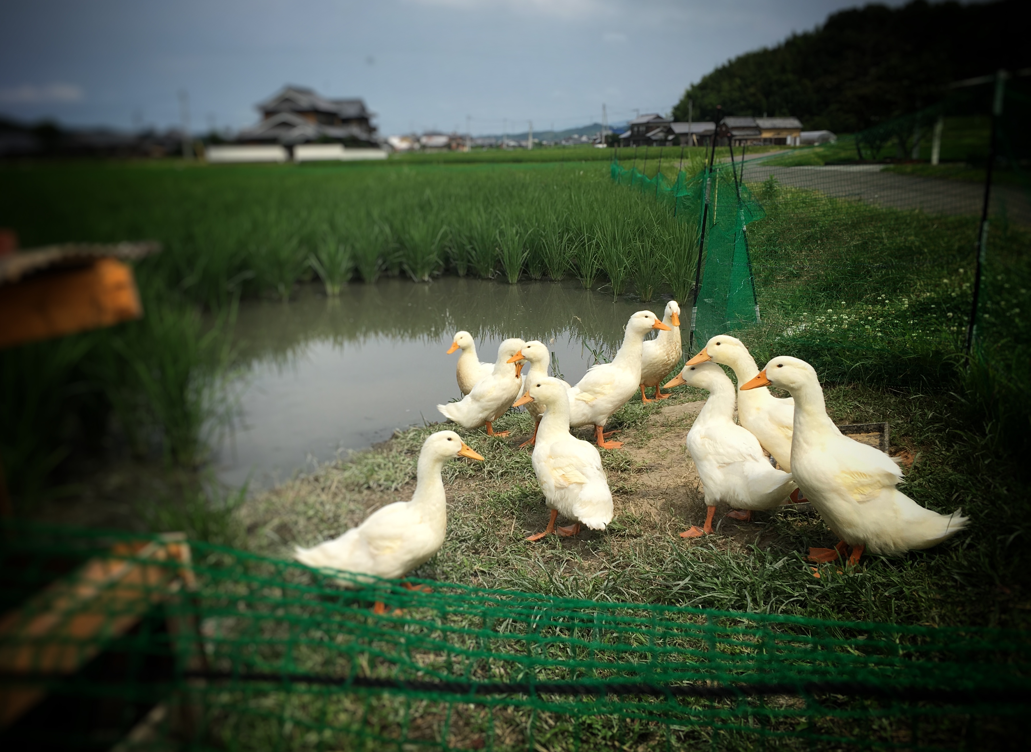 うどん県、ぶらり日帰りの旅　パート１♪