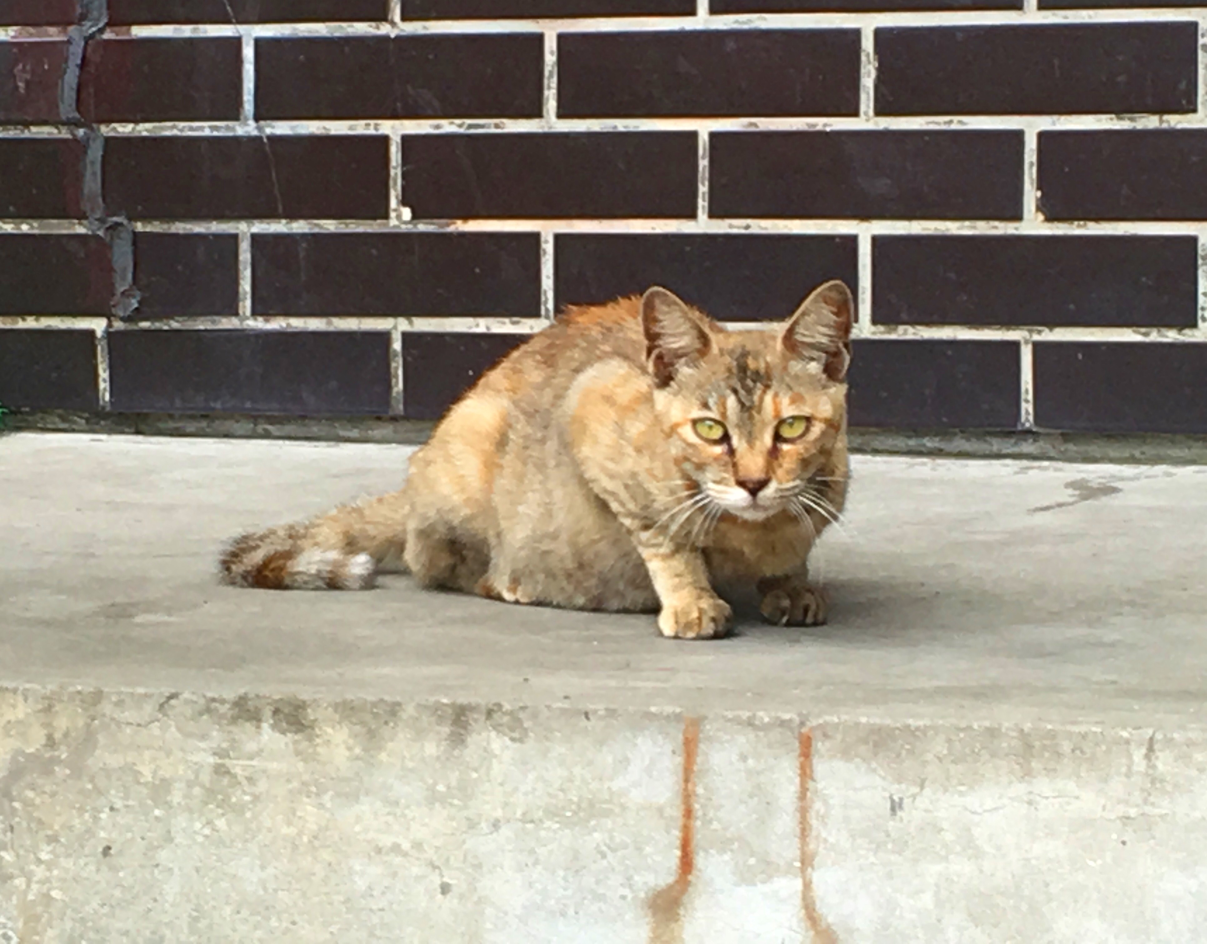 うどん県、ぶらり日帰りの旅 パート2♪