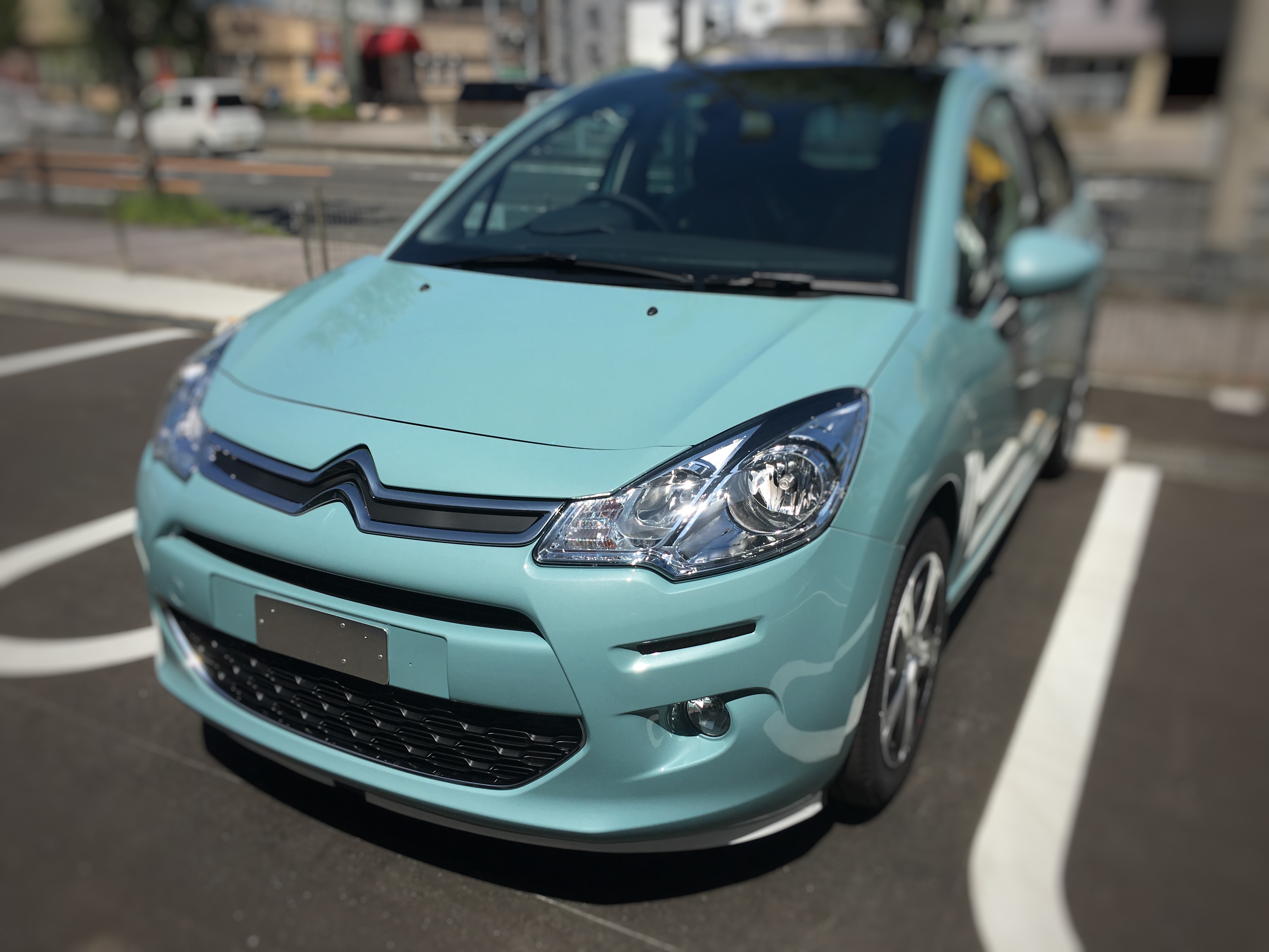 ブルーバイアがやって来ました♪