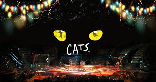 CATS!!