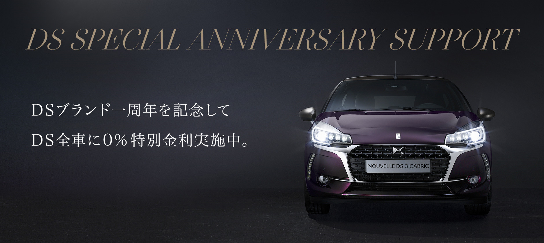 DS SPECIAL ANNIVERSARY SUPPORT